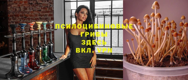 дживик Липки