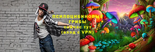 дживик Липки