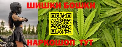 прущие крисы Надым