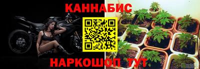 каннабис Новоалександровск