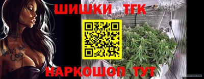 прущие крисы Надым