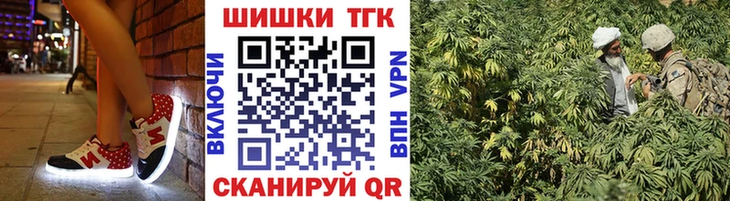 Бошки Шишки ГИДРОПОН  Тюмень 